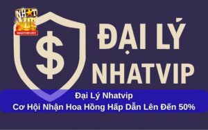 Hoa hồng cao và rõ ràng