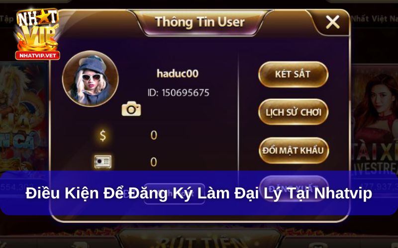 Điều kiện để đăng ký làm đại lý tại Nhatvip